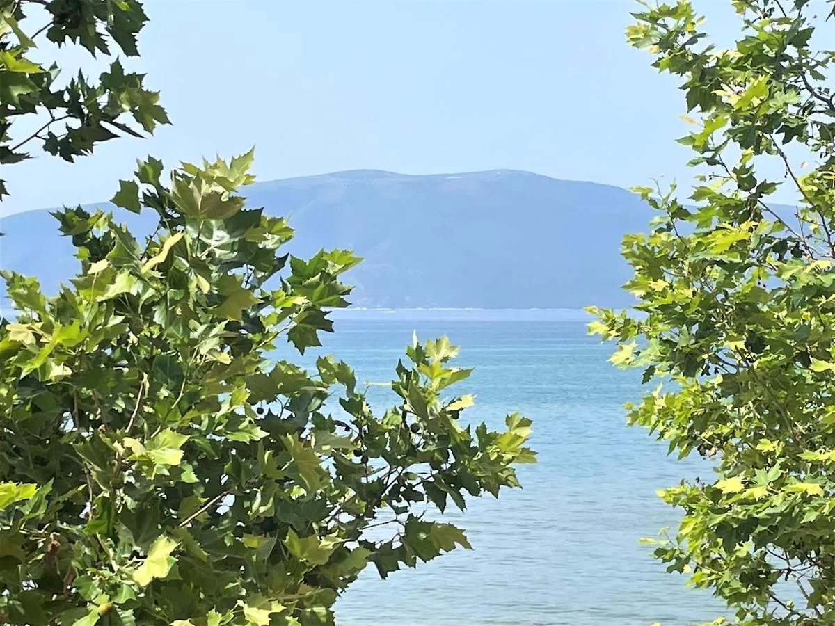 Blue Horizon Apartment Vlora 0*,